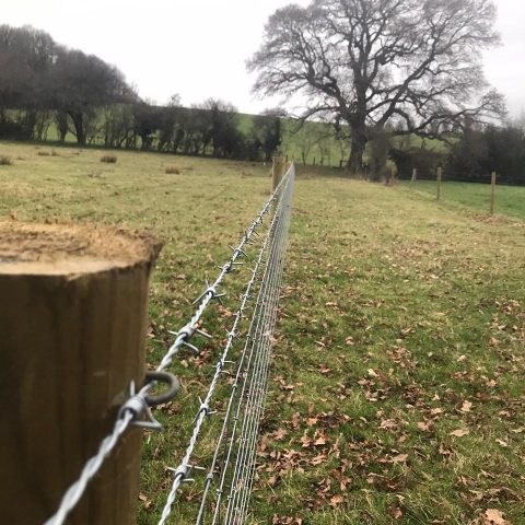 Woodland creation programme - RC Fencing